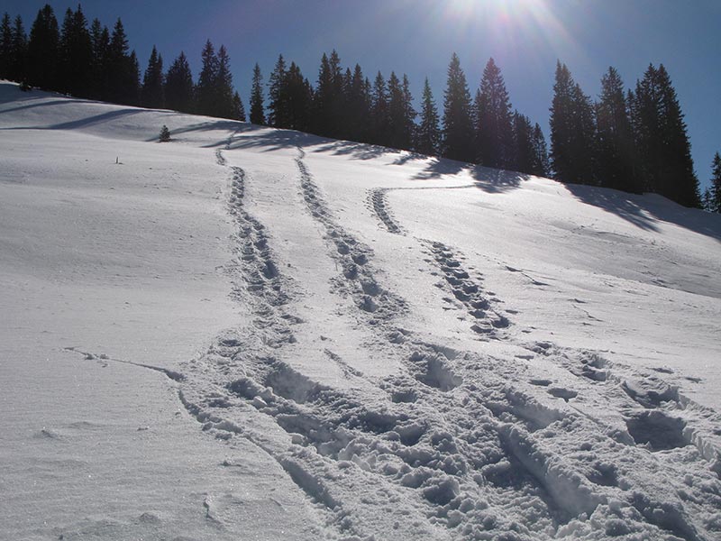 huehnerkogel